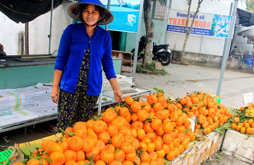 Sôi động thị trường trái cây mùa Tết