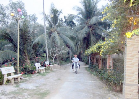 Diện mạo mới ở Thới Ngươn B