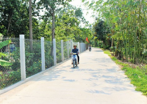 Tăng cường tuần tra, xử lý nghiêm các trường hợp vi phạm trật tự an toàn giao thông
