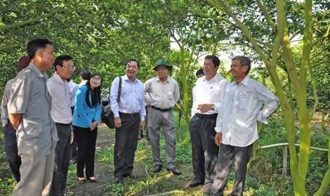 Tăng cường xây dựng, chỉnh đốn Đảng 

 Bài cuối: Tiếp tục thực hiện nhiều giải pháp với quyết tâm cao