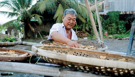 Nâng cao thu nhập

từ các thành phẩm khóm Tắc Cậu