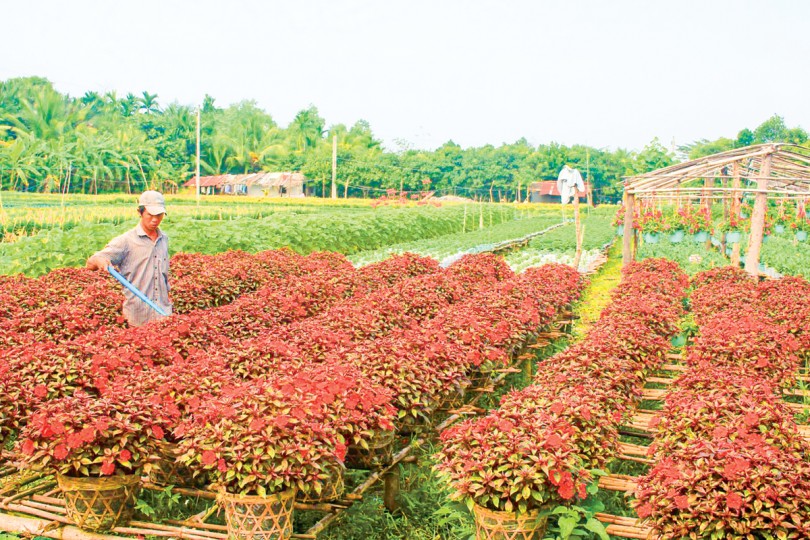 Tạo đột phá để nông nghiệp Cần Thơ phát triển