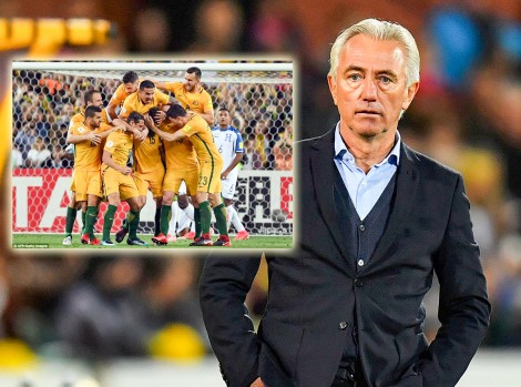 Tuyển Úc chờ đợi gì từ HLV Bert van Marwijk