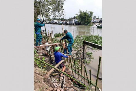 Tự quản đường giao thông gắn với bảo vệ môi trường