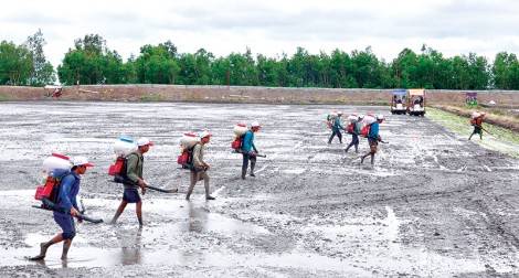 Phát triển đa mục tiêu Tứ giác Long Xuyên