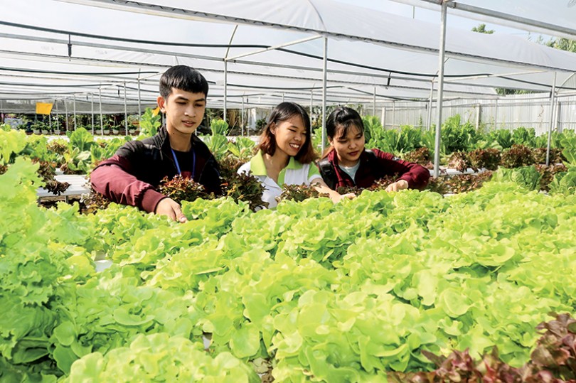 Diện mạo mới cho nông nghiệp đô thị
Bài 1:  Nông nghiệp đô thị chuyển mình
