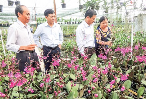 Diện mạo mới cho nông nghiệp đô thị 

Bài cuối:  Đầu tư công nghệ, tìm đầu ra cho sản phẩm