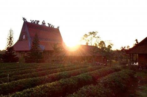 Tĩnh lặng ở Di Đà