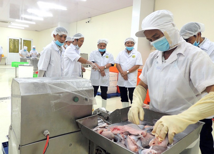 Tăng lợi thế cạnh tranh, tạo sự khác biệt để vững tin hội nhập