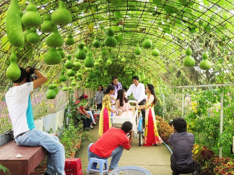 Vườn hoa Mãn Đình Hồng - điểm đến mới ở Mỹ Tho
