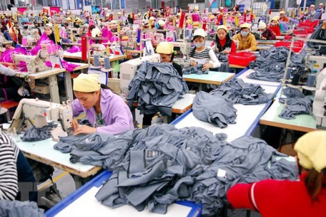 Kỳ vọng mở rộng thị trường