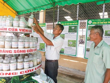 Nghiên cứu chọn tạo giống theo nhu cầu thị trường