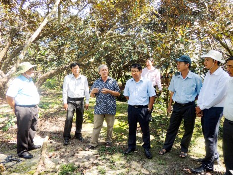 Nâng tầm xã nông thôn mới Giai Xuân