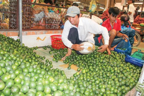 Chanh và mít Thái  bán được

giá cao