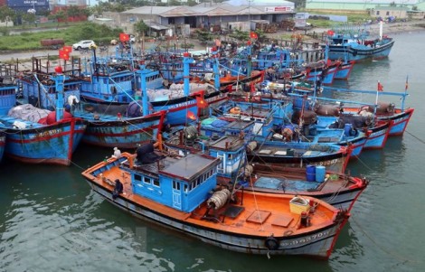 Kiên Giang không đăng kiểm tàu cá sơn màu sai quy định