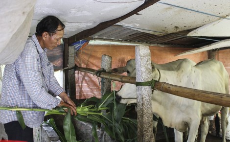 Con đường hoàn lương
