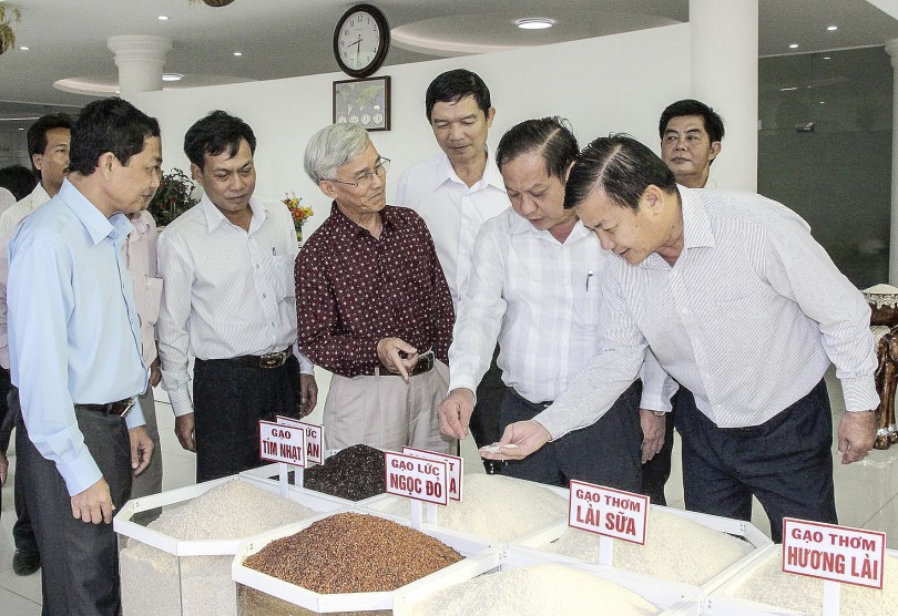 Môi trường đầu tư thông thoáng

thúc đẩy doanh nghiệp phát triển