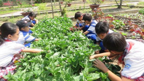 Hiệu quả từ mô hình dạy học trải nghiệm sáng tạo