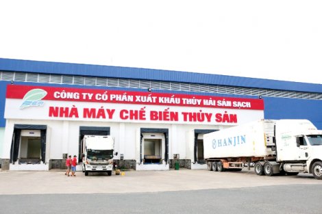IDI tự tin vượt bão