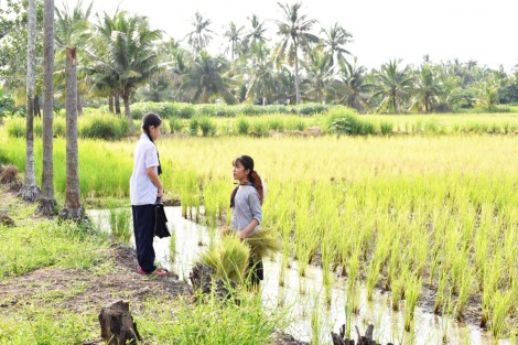Câu chuyện của thù hận và vị tha