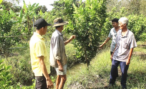 Phát huy vai trò giám sát của Mặt trận và các đoàn thể trong thực hiện Nghị quyết Trung ương 4