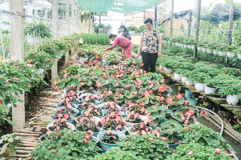 Lan tỏa nhiều mô hình sản xuất thông minh