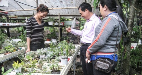 Đồng vốn tạo việc làm,

tăng thu nhập