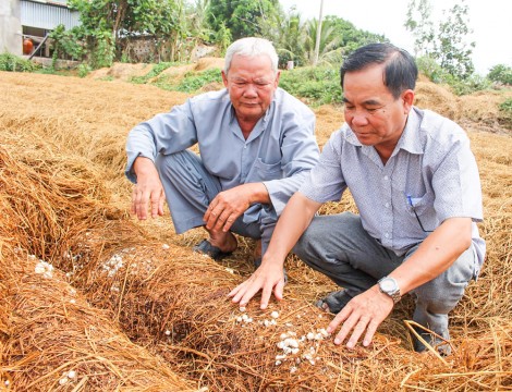 Thi đua lao động giỏi, góp sức xây dựng quê hương