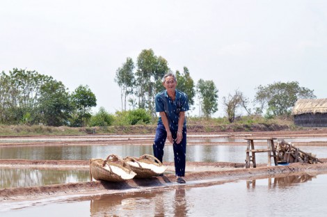 Đất muối chuyển mình sang năng lượng xanh