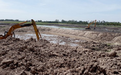 Quản lý nghiêm hoạt động ươm cá tra bột