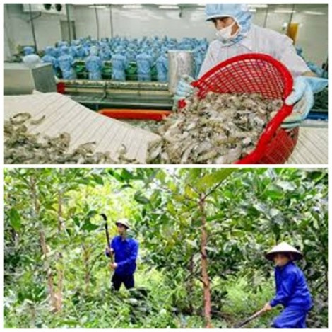Triển khai thi hành Luật Lâm nghiệp, Luật Thủy sản