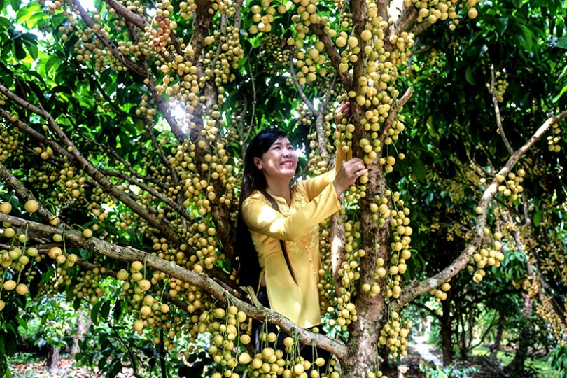 Triển vọng ĐBSCL trên bản đồ du lịch quốc tế