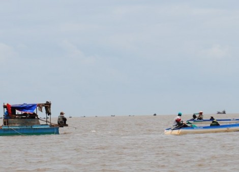 Cà Mau: Xuất hiện sò huyết giống ở bãi bồi Đất Mũi, dân đổ xô khai thác