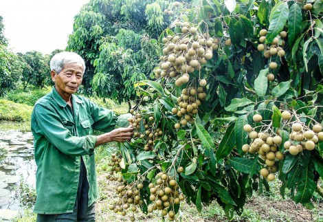 Giúp dân thực hiện khát vọng làm giàu