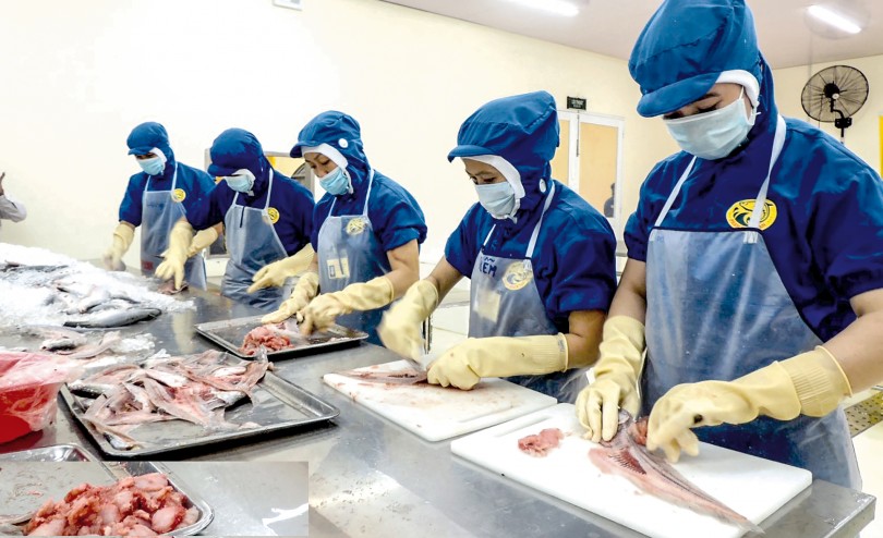 Khẳng định chất lượng,

tạo lập niềm tin

cho người tiêu dùng