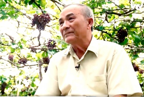 Vẻ đẹp Việt Nam trong “Từ những miền quê”