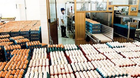 Một số chính sách có hiệu lực từ tháng 5