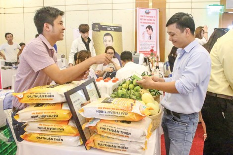 Ươm mầm chờ mùa trái ngọt Bài 2: Điểm nhấn đổi mới sáng tạo
