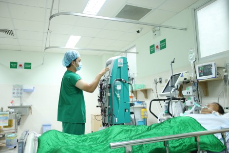 Phải đặt máy tạo nhịp vĩnh viễn cho người đàn ông bị ong chích hơn 200 mũi