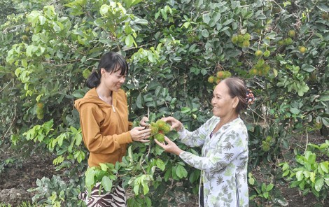 Thường Thạnh khởi sắc