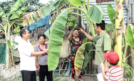 “Làm theo” gương Bác từ những việc nhỏ