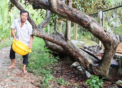 Tự tin với nhãn hiệu

Vú sữa Thới An Đông