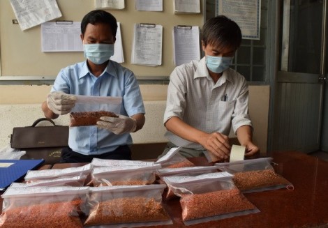 Trên 36% mẫu kiểm tra ớt bột vượt ngưỡng dư lượng aflatoxin