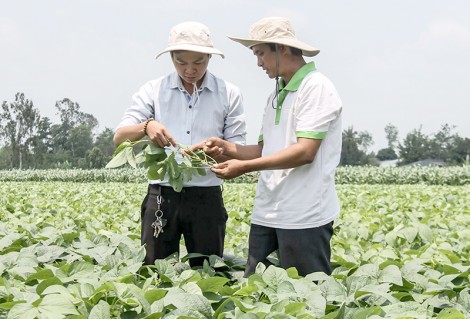 Hợp tác xã Thân Thiện