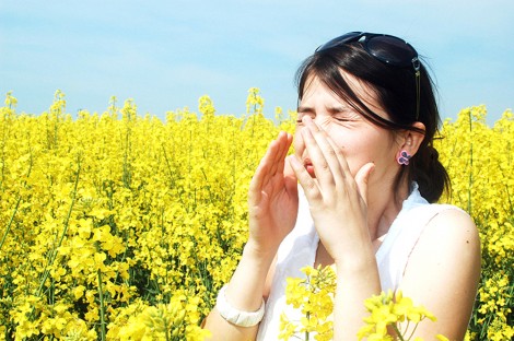 Đối phó với viêm mũi dị ứng mùa hè