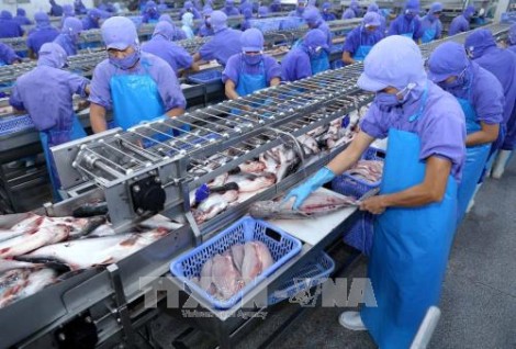 Các tỉnh thành rà soát lương tối thiểu vùng để điều chỉnh trong năm 2019