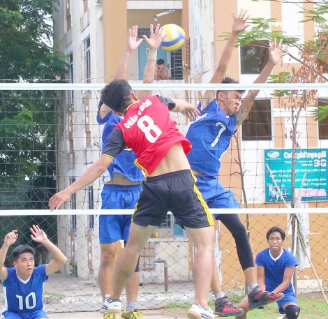 Các đội đã sẵn sàng