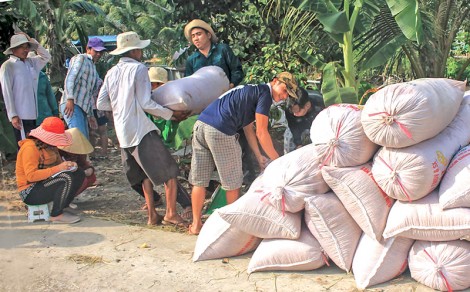 Triển vọng trúng mùa, được giá