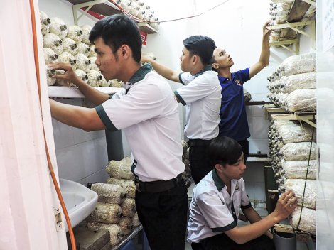 Trang bị những kỹ năng bổ ích