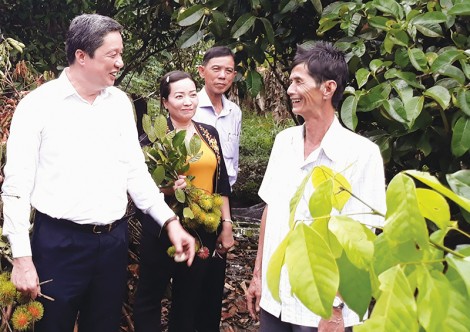 Nhân rộng các mô hình nông nghiệp đô thị